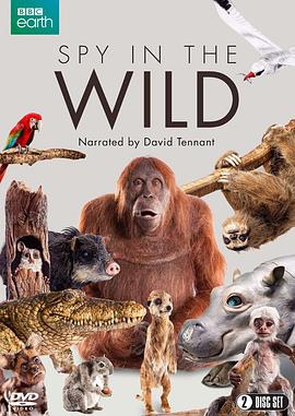 你还在被贴牌了南纱彩中文字幕,91av网站大全